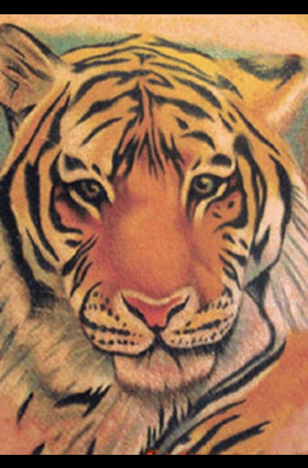 tiger tattoo color for arm | Free Tattoo Ideas